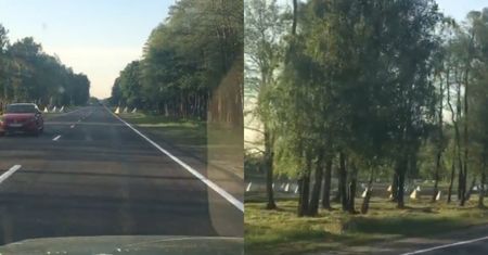 "Zęby smoka" na Białorusi. Jest nagranie