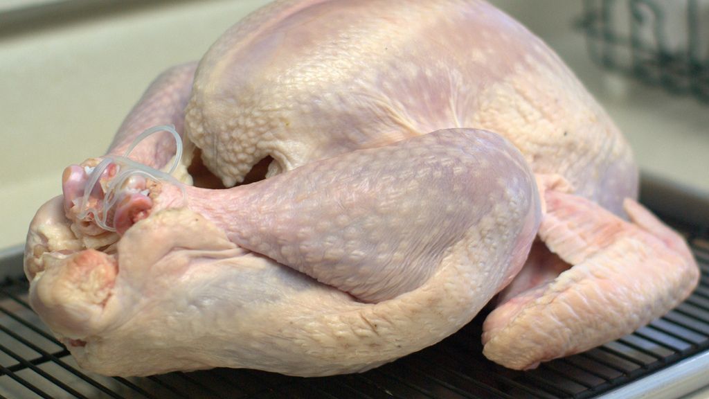 Surowy indyk (mięso jasne i ciemne)