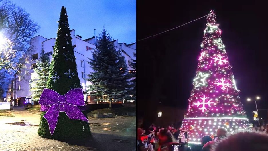 Foto: Marzena Matuszka