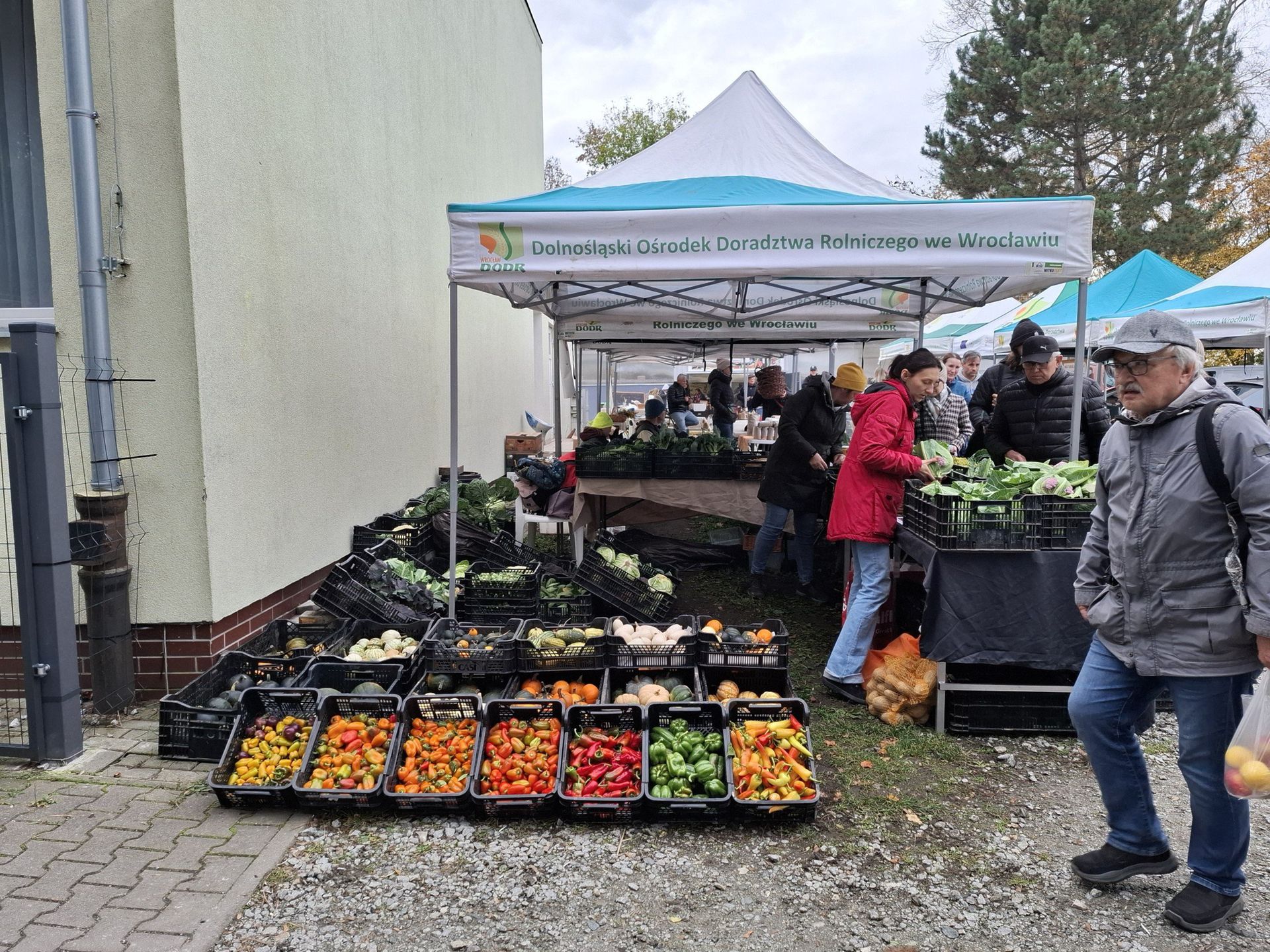 Dolnośląski Targ Rolny. Takie produkty tutaj kupisz