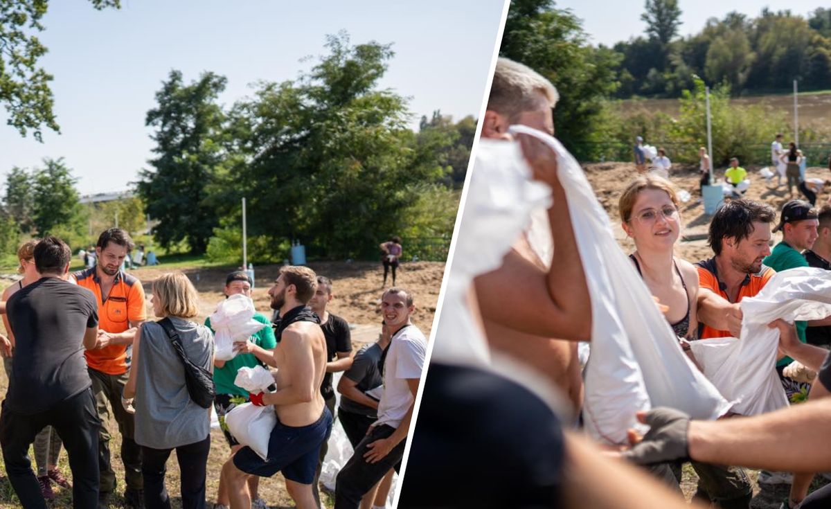 zoo, powódź, wolontariusze Zoo we Wrocławiu z kolejnym apelem. Czekamy na ręce chętne do pomocy