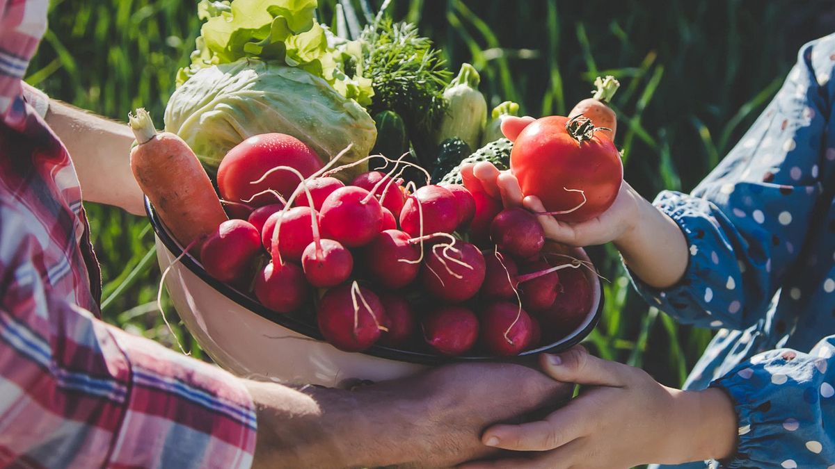 Czy warzywa z miejskich ogródków są bezpieczne? Naukowcy alarmują