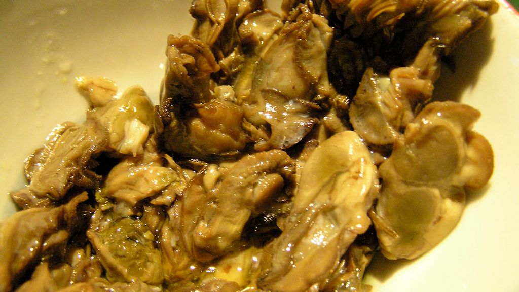 Ostryżyca amerykańska w puszce