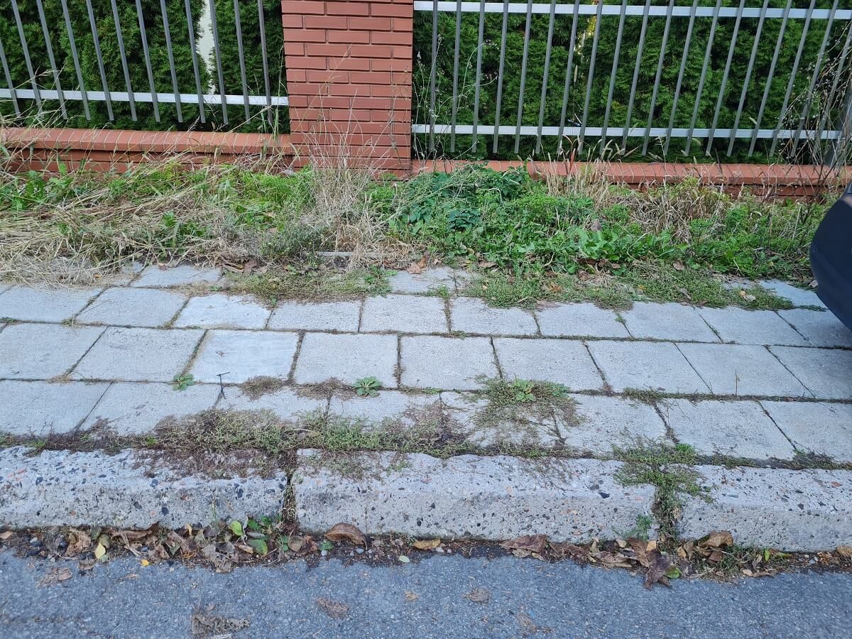Zarośnięte chodniki na ul. Dzieci Zamojszczyzny