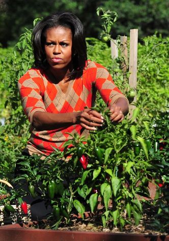Rzekome dane Michelle Obamy i Bidena opublikowano w internecie