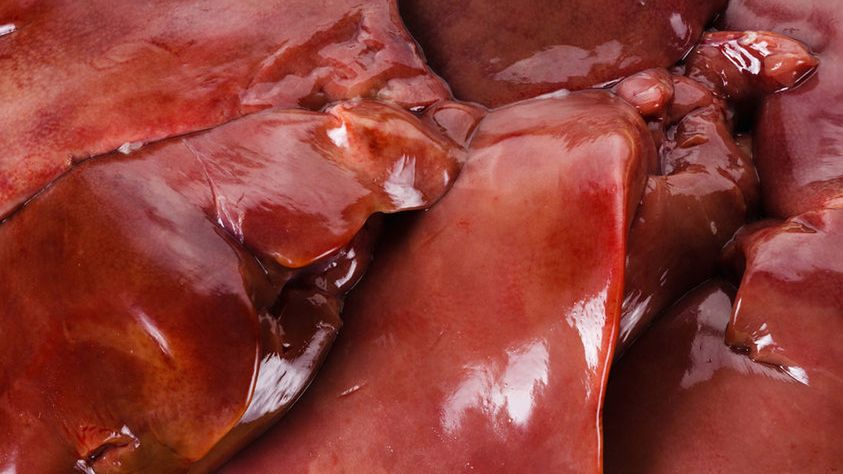 Surowa wątroba z indyka