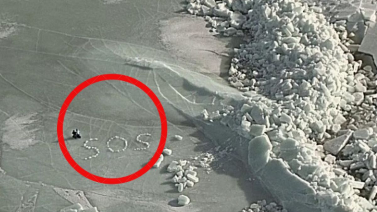 Dwie osoby napisały SOS na lodowej krze 