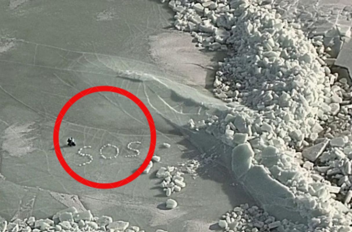 Spektakularna akcja na Bałtyku. Utknęli na dryfującej krze