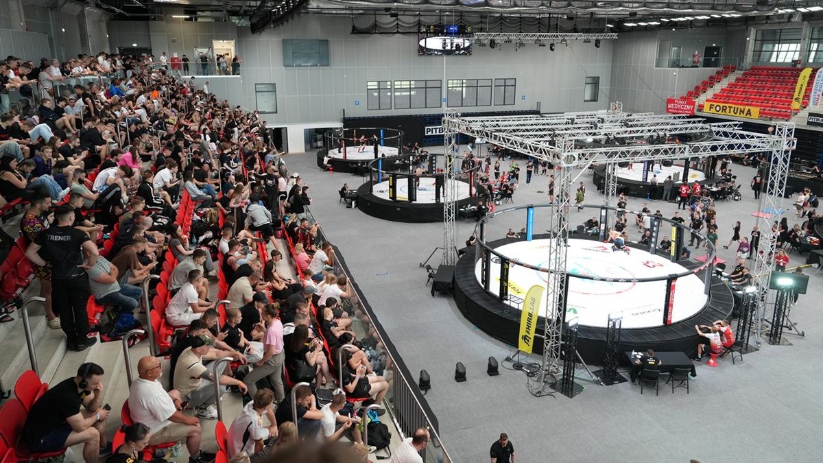 Materiały prasowe / Bisko 705 walk stoczono podczas 14. Mistrzostw MMA 