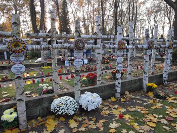 Rewolucja na warszawskich cmentarzach. Do tej pory było "do zmroku"