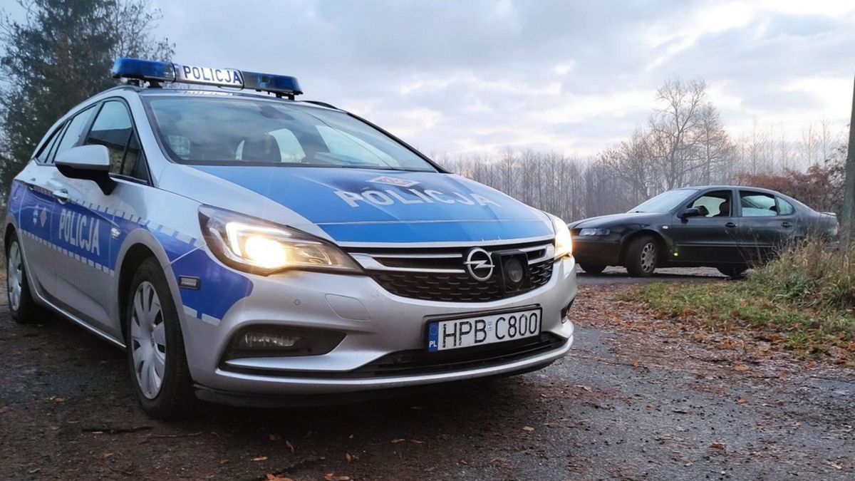 Zdjęcie ilustracyjne.