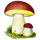 Atlas grzybów ikona