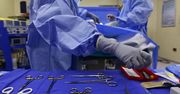 Pierwsza taka transplantacja. Chińczycy przeszczepili mężczyźnie wątrobę od świni