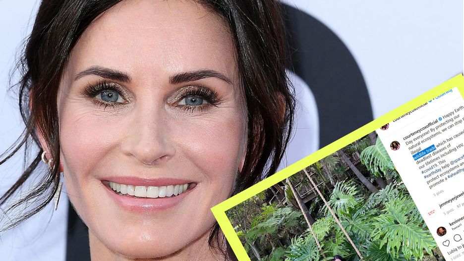 Courteney Cox podzieliła się swoją teorią na temat koronawirusa i HIV