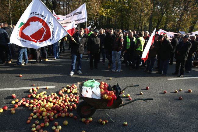 Rosyjskie embargo na jabłka. Wściekli sadownicy zablokowali drogę
