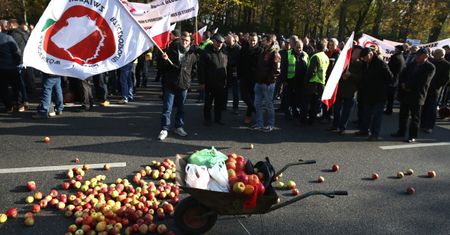 Rosyjskie embargo. Sadownicy protestują