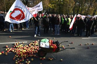 Rosyjskie embargo. Sadownicy protestują