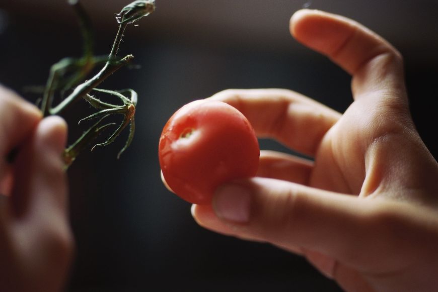 Kto nie powinien jeść pomidorów?