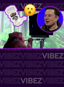 Elon Musk chce wczepić ludziom chipy. Na razie udało mu się jedynie torturowanie małp Neuralinkiem