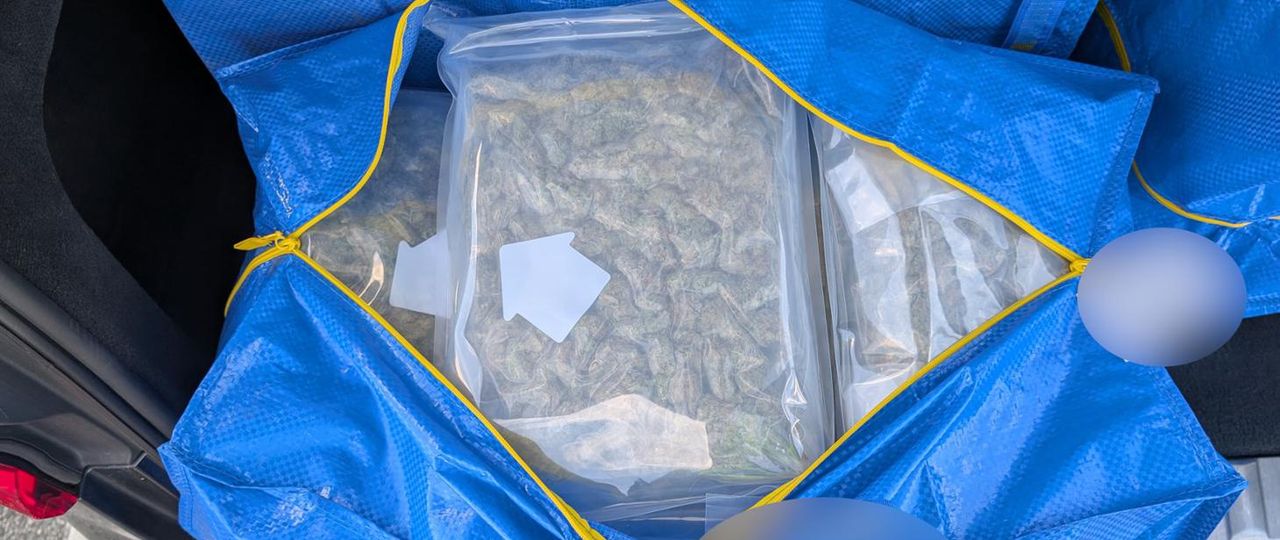 Marihuana za niemal 2 miliony złotych na tylnym siedzeniu. KAS przechwyciła przemyt na A2