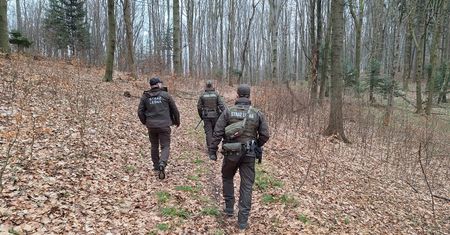 Ruszają kontrole w całej Polsce. Straż Leśna podała datę