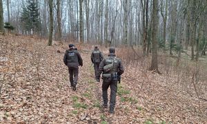 Ruszają kontrole w całej Polsce. Straż Leśna podała datę