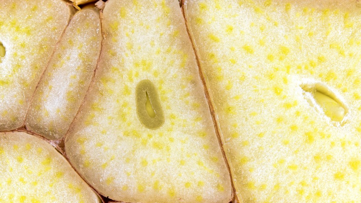 Zażyj czosnek przed snem. Jego właściwości są wyjątkowe