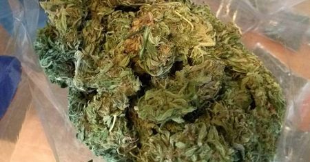 Marihuana w mieszkaniu 29-latka na lubelskim Czechowie [ZDJĘCIA]