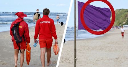 Co oznacza fioletowa flaga na plaży? Chodzi o konkretne zagrożenie