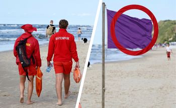 Co oznacza fioletowa flaga na plaży? Chodzi o konkretne zagrożenie