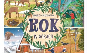 Rok w górach