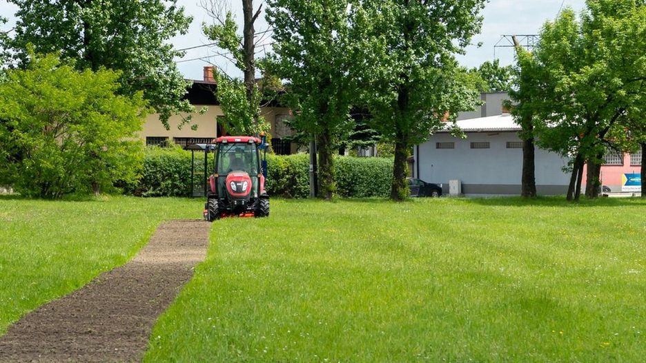 Bytom. W mieście trwa wysiewanie łąk kwietnych.
