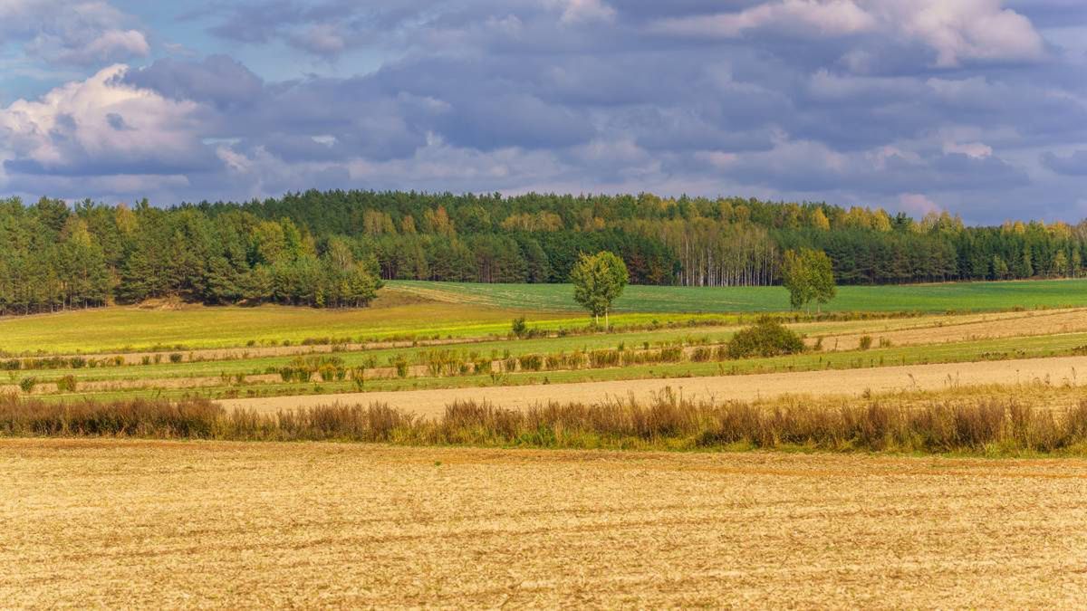 Wzgórza Sokólskie okrzyknięte Cudem Polski! To wyjątkowe miejsce na mapie Podlasia, a okazuje się, że mało kto coś o nich wie