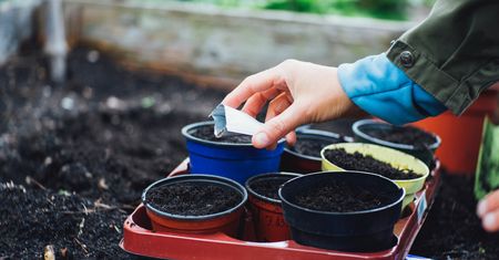 Kalendarz biodynamiczny marzec 2023. Kiedy rozpocząć pracę?