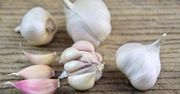 Czosnek jest remedium na tę chorobę? Ogranicza stany zapalne w stawach