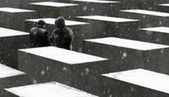 62. rocznica wyzwolenia nazistowskiego obozu śmierci Auschwitz