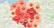 Koronawirus. Ponad 19 tys. zakażonych w Polsce i prawie 5 mln na świecie [Aktualna Mapa]