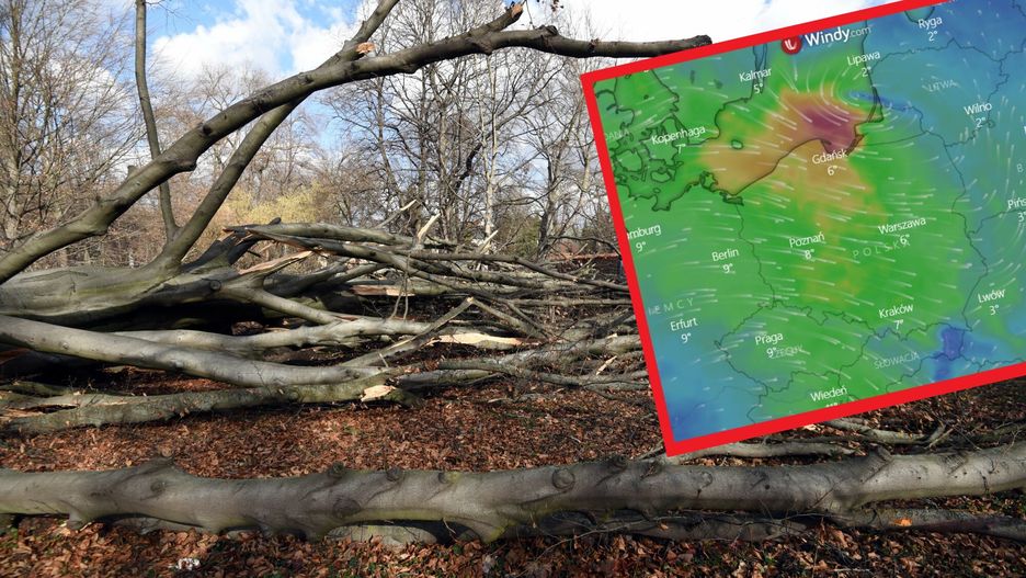 W ostatni weekend przez Polskę przeszedł orkan Eunice