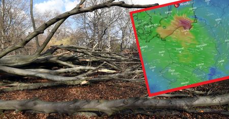 Koniec silnych wiatrów coraz bliżej. Wkrótce wiosenne temperatury