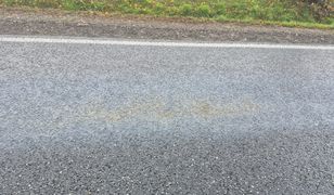 Nieznana substancja na drodze pod Płockiem. DK 60 zablokowana