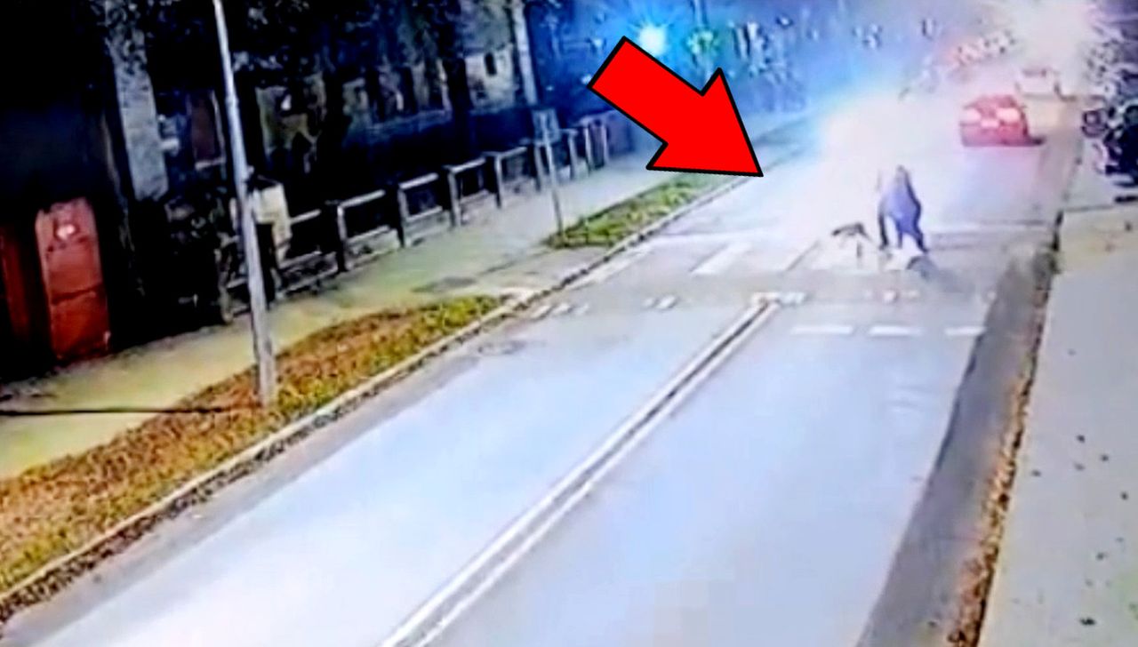 Koszmar na pasach w Płońsku. Kierowca forda wjechał w pieszych