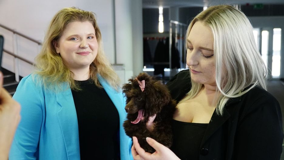 Międzynarodowe Wystawy Psów Rasowych