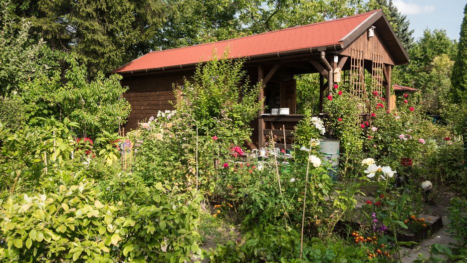 Gdańsk interweniuje ws. planów sprzedaży ROD-ów