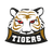 DMV White Tigers