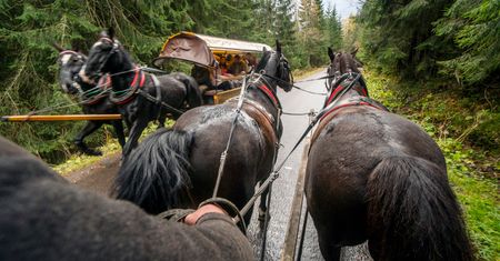 Tatry. Co z końmi na trasie do Morskiego Oka?