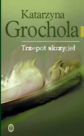 Obraz
