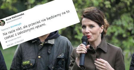 Ile osób zginęło przygniecionych chorym świerkiem? Rozbrajająca odpowiedź rzecznik Lasów Państwowych