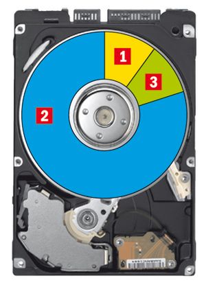 Musztra dla twardziela