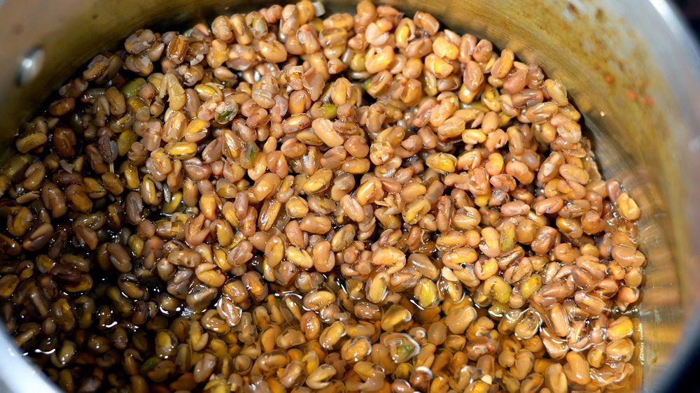 Kozieradka zawiera wysokie stężenie rozpuszczalnego błonnika