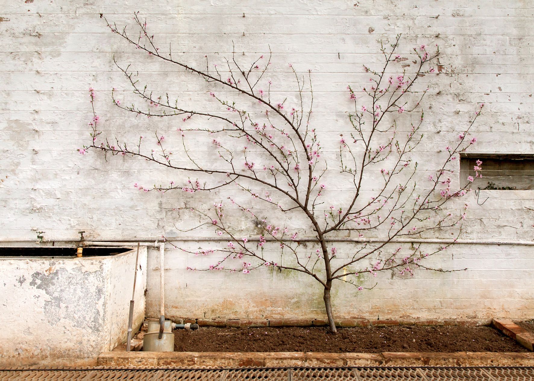 Sara Naomi Lewkowicz zdobyła nagrodę L’Iris d’Or w Sony World Photography Awards 2014 12